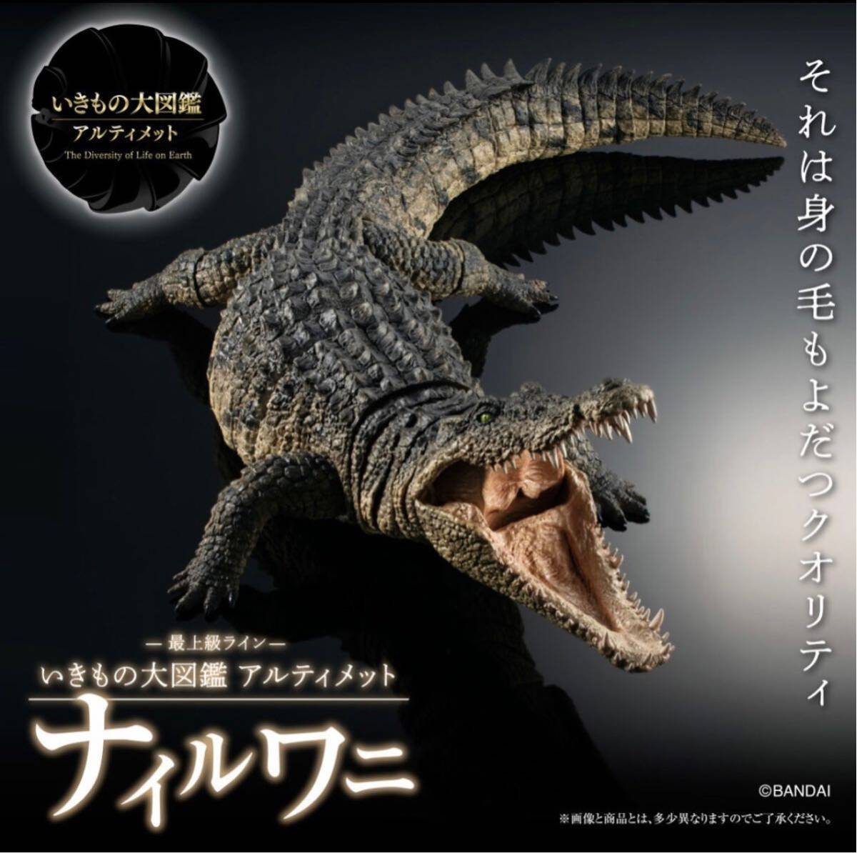 新品未開封　いきもの大図鑑アルティメット ナイルワニ プレミアムバンダイ限定