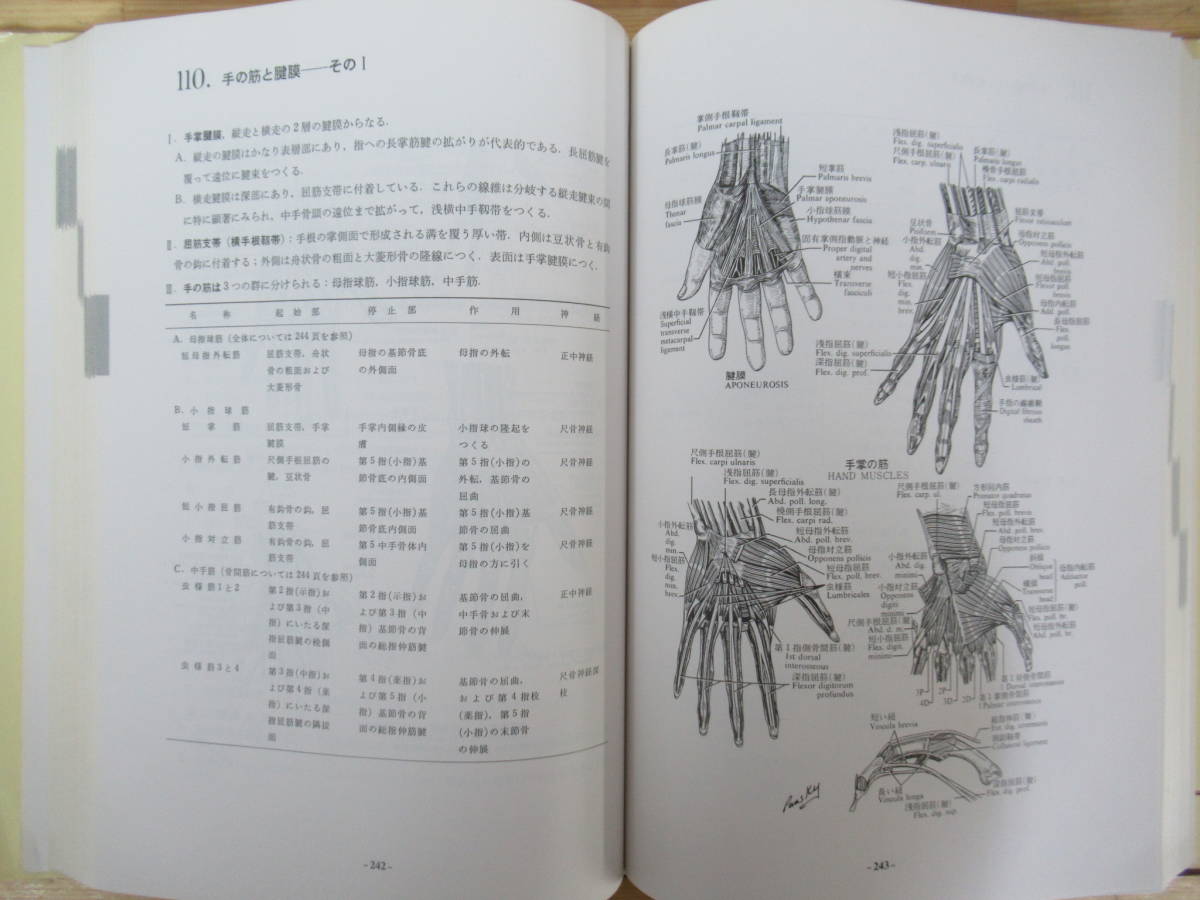 n09●目でみる局所解剖学 バンスキー 慶応義塾大学教授 嶋井和世 東京大学教授 坪井実:監訳 廣川書店 昭和53年 初版 医学書 230407_画像8