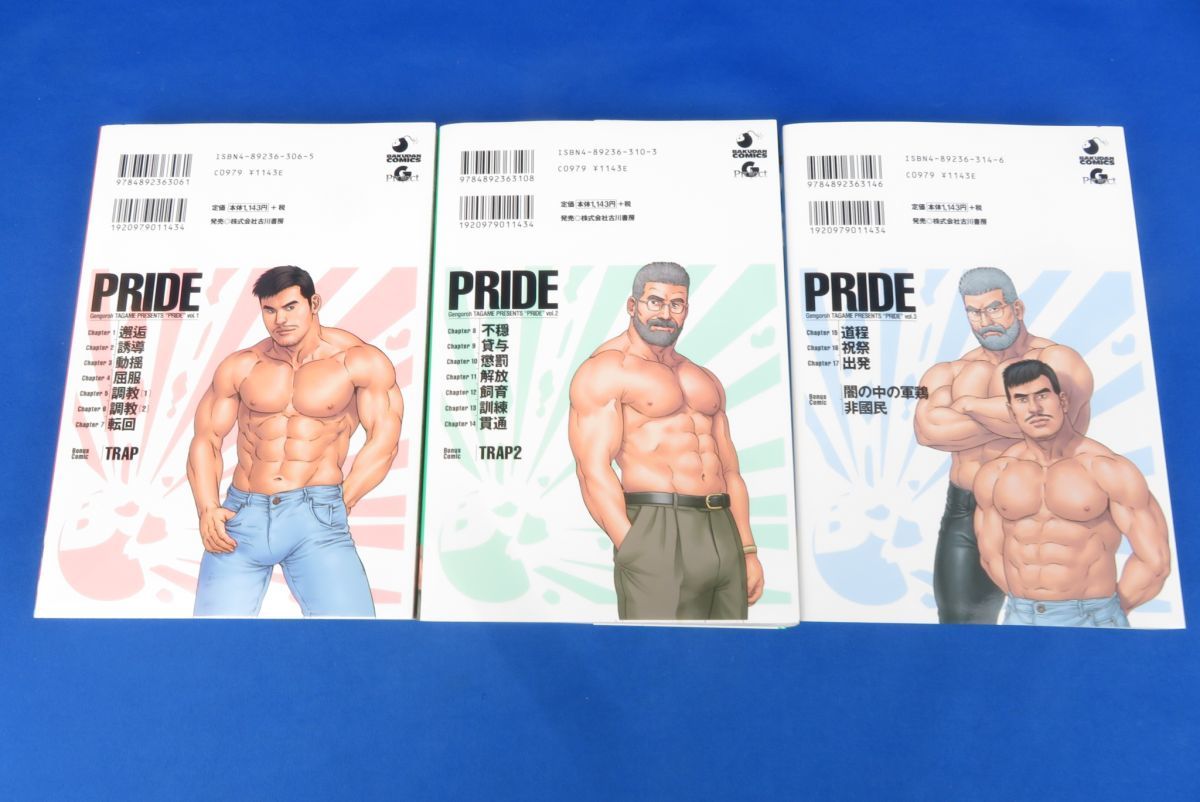 田亀源五郎 PRIDE 上中下-