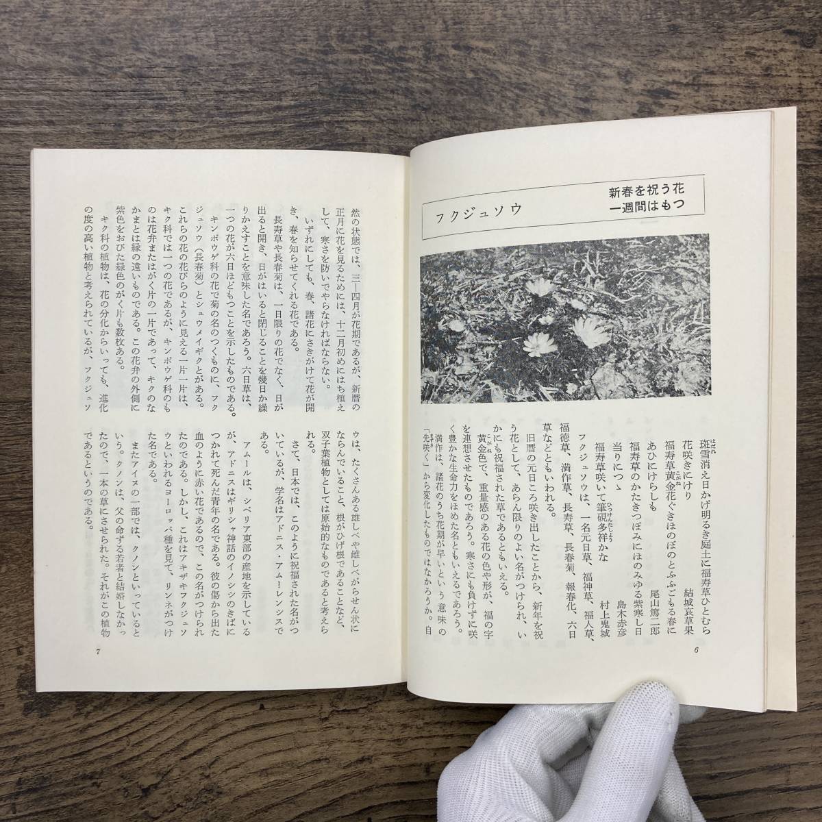 Z-4306■しなの植物考■丸山利雄/著■信濃毎日新聞社■（1972年）昭和47年8月1日第2刷_画像3