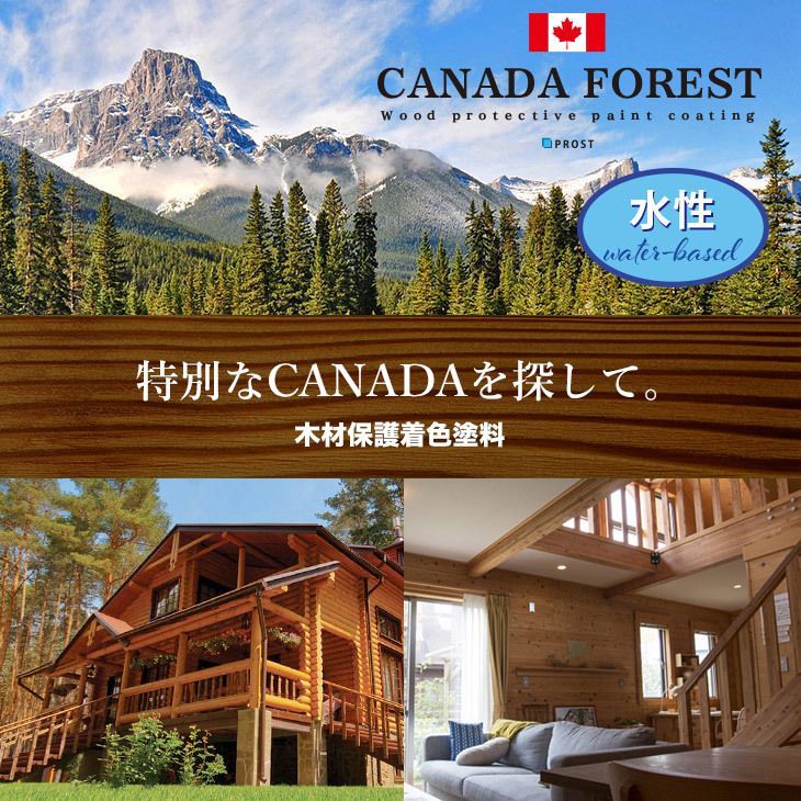 CANADA. genuine article. aqueous Canada forest 4L all 6 color wood protection coloring paints Z26