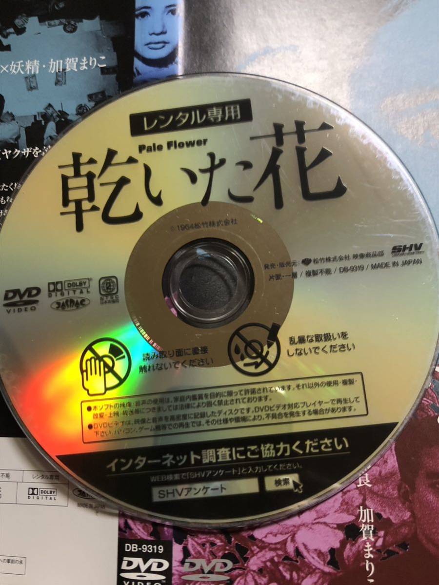 ☆名作シネマ/「乾いた花」/1964年/監督・篠田正浩/原作・石原