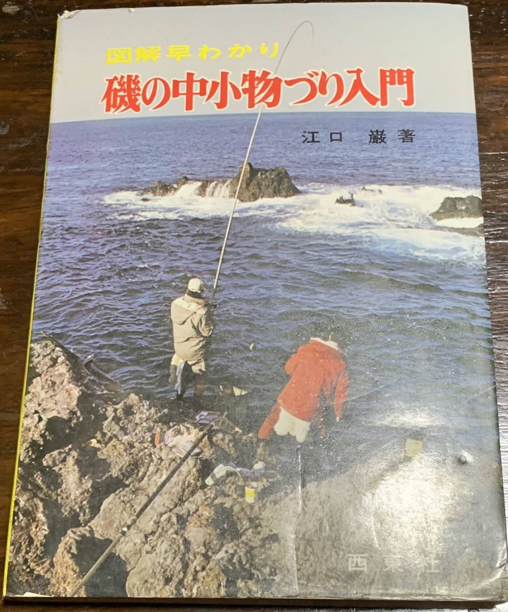 値引 稀少図解早わかり 磯の中小物づり入門/江口 巌著/西東社 釣り