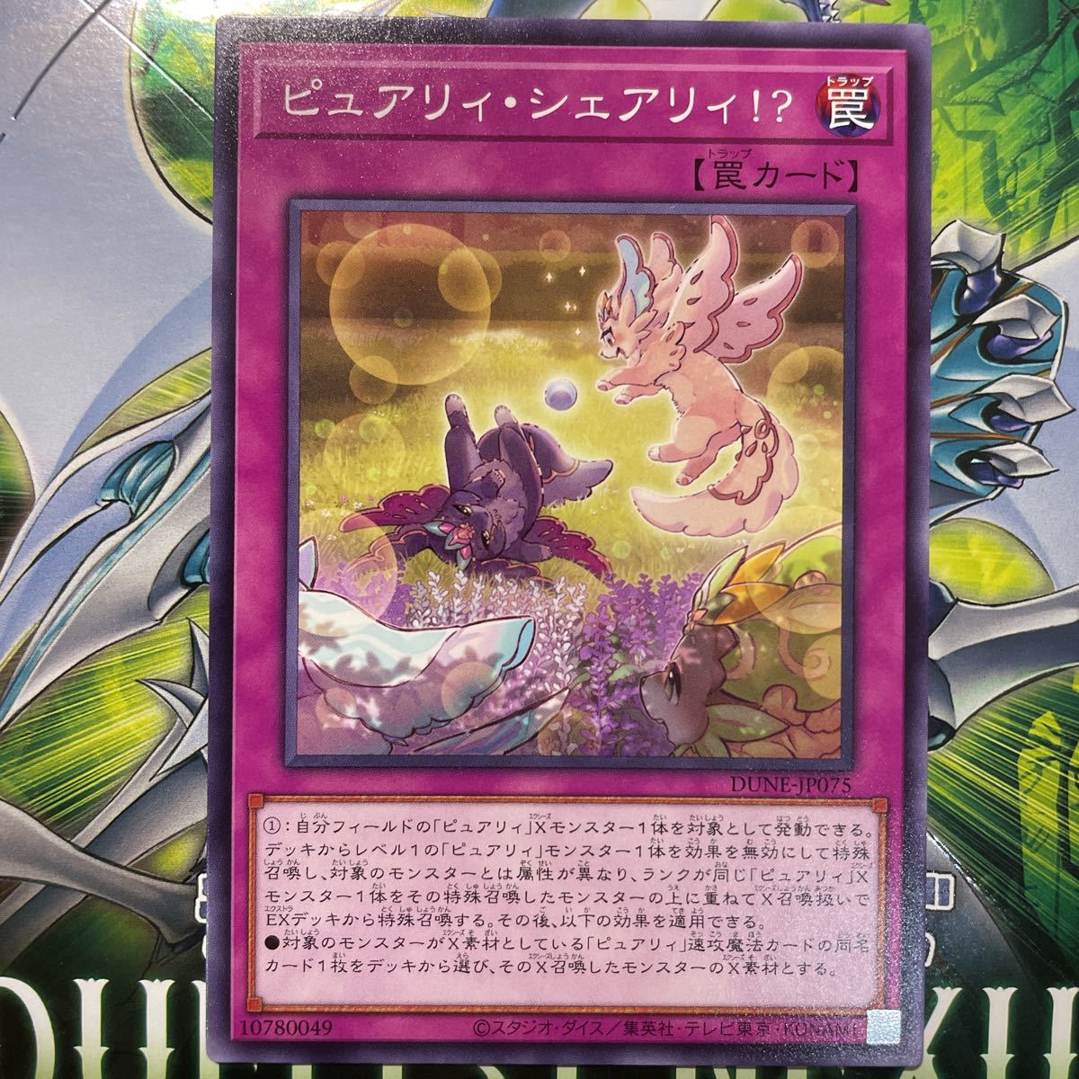 遊戯王　ノーマル　DUNE-JP075　ピュアリィ・シェアリィ!?　DUELIST NEXUS_画像1