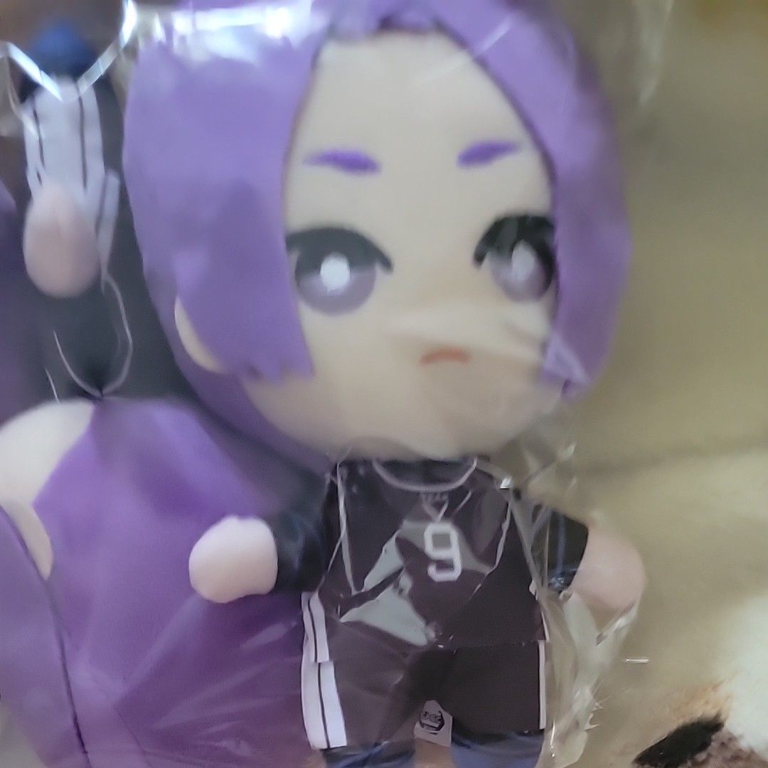 ブルーロック 御影玲王 ともぬい ぬいぐるみ ぬい マスコット 4