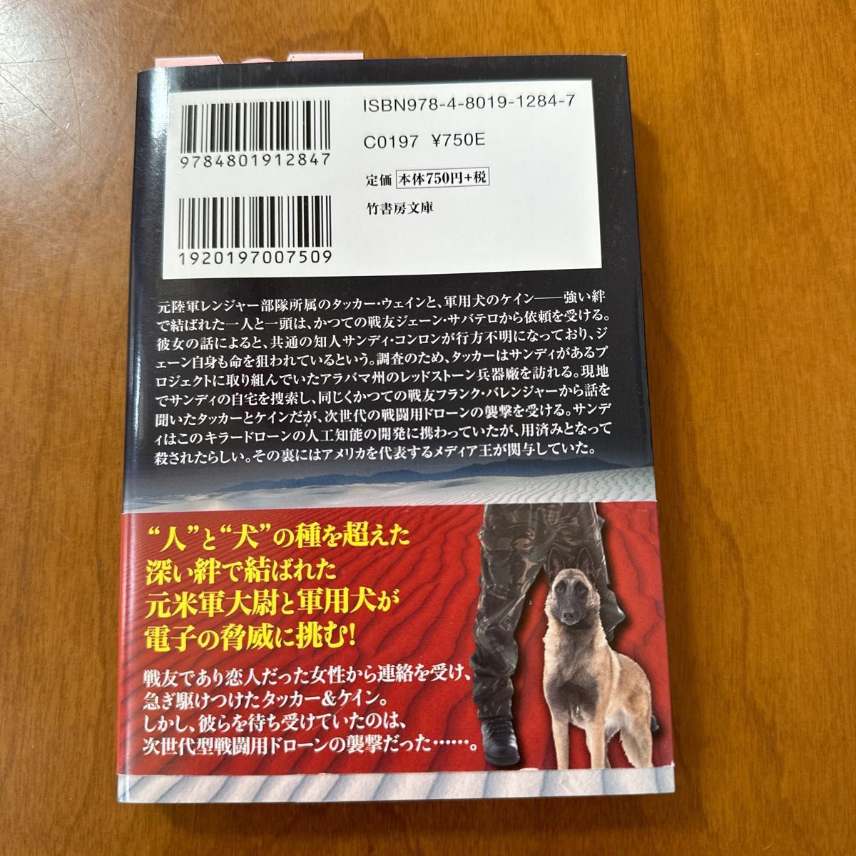 チューリングの遺産　タッカー＆ケイン　上下 