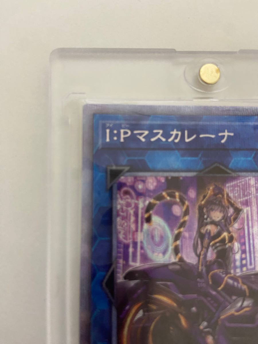 【極美品】遊戯王　IPマスカレーナ　絵違い　プリシク