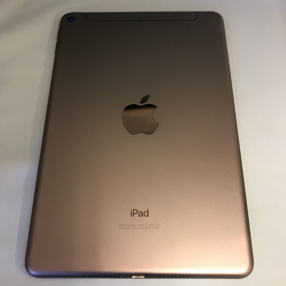 ヤフオク! - SIMフリー ソフトバンク iPad mini5 64GB スペー... - タブレット（independentprobe.com）