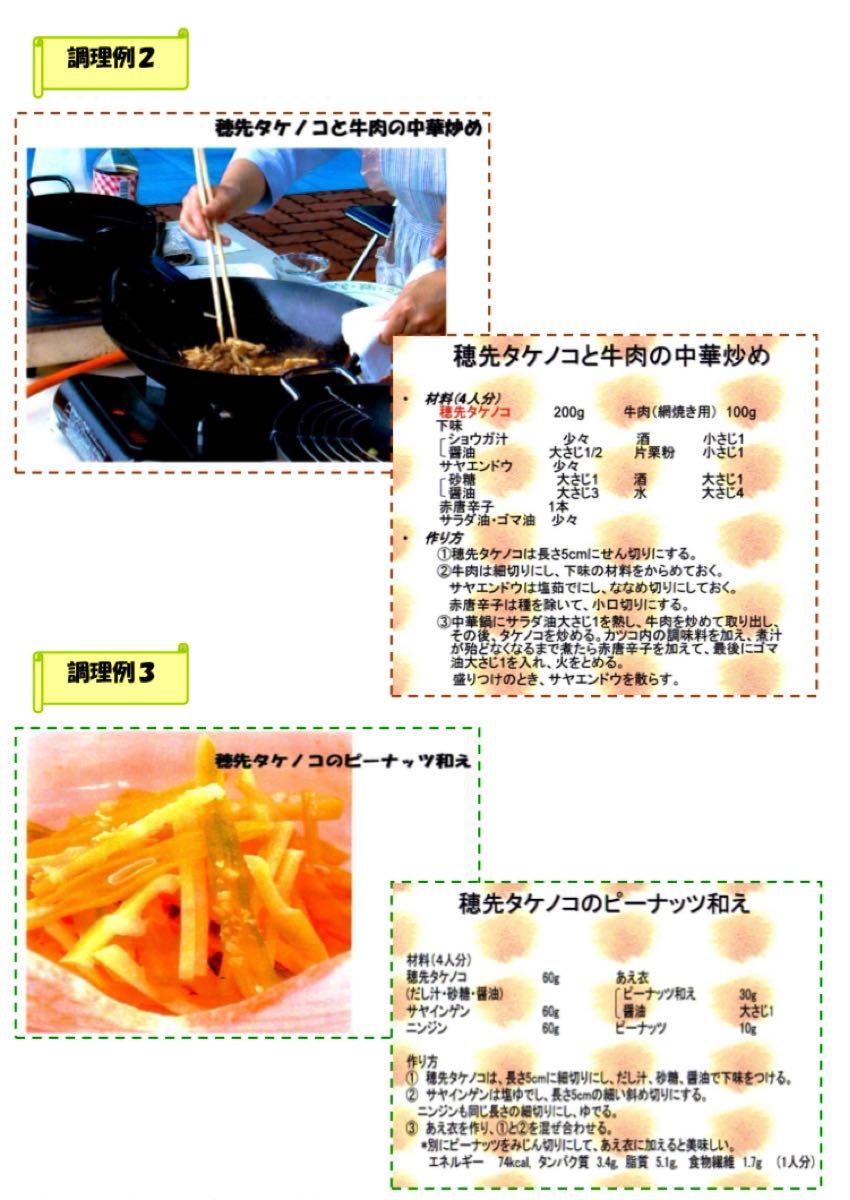 約10kg『やわらか穂先たけのこ』22日収穫発送 ぬか付き 筍 約10kg『やわらか穂先たけのこ』22日収穫発送 ぬか付き 筍