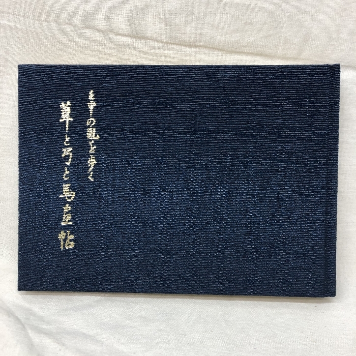 【中古】壬申の乱を歩く 葦と弓と馬・画帖 壬申の乱を歩く 加藤正音 …の画像1