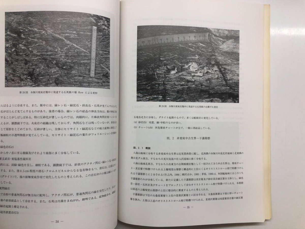 ★　【八海山地域の地質 平成4年　5万分の1地質図幅　茅原一也・小松正幸　地質調査所　研究報告】116-02304_画像6