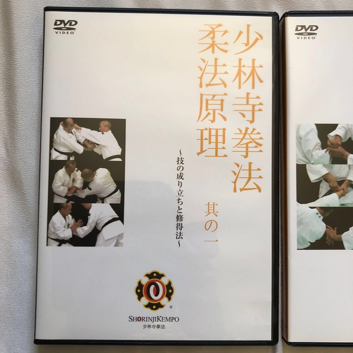 GD2-019 DVD 少林寺拳法 柔法原理其の一 技の成り立ちと習得法 著作