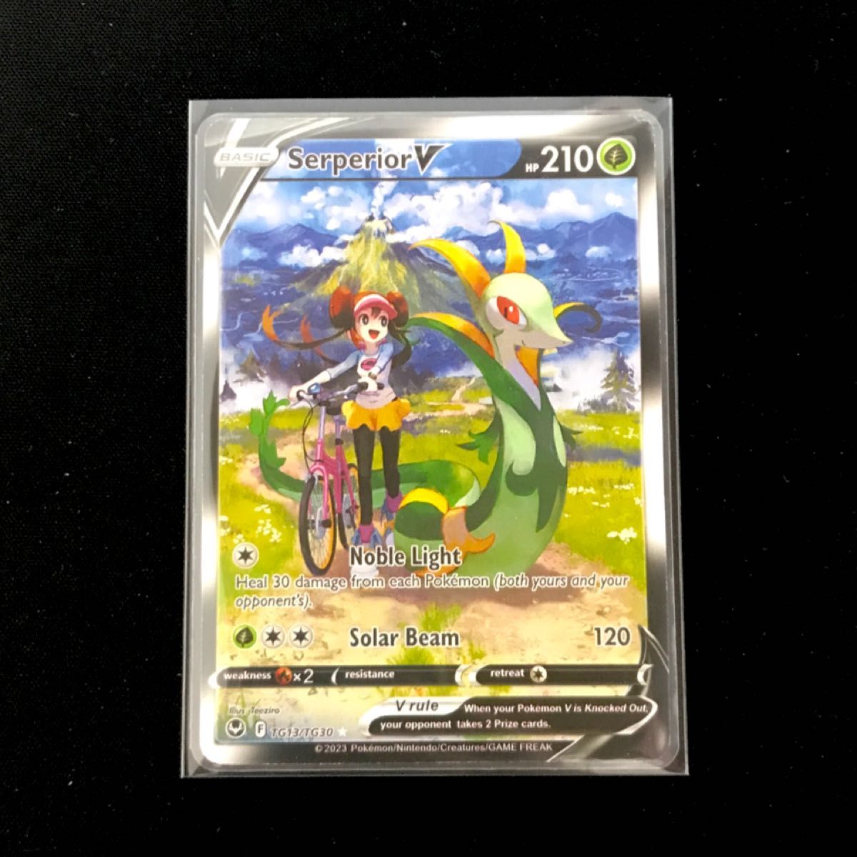 ジャローダv csr 英語版 ノーマルカード ポケモンカード|Yahoo ジャローダv csr 英語版 ノーマルカード ポケモンカード|Yahoo