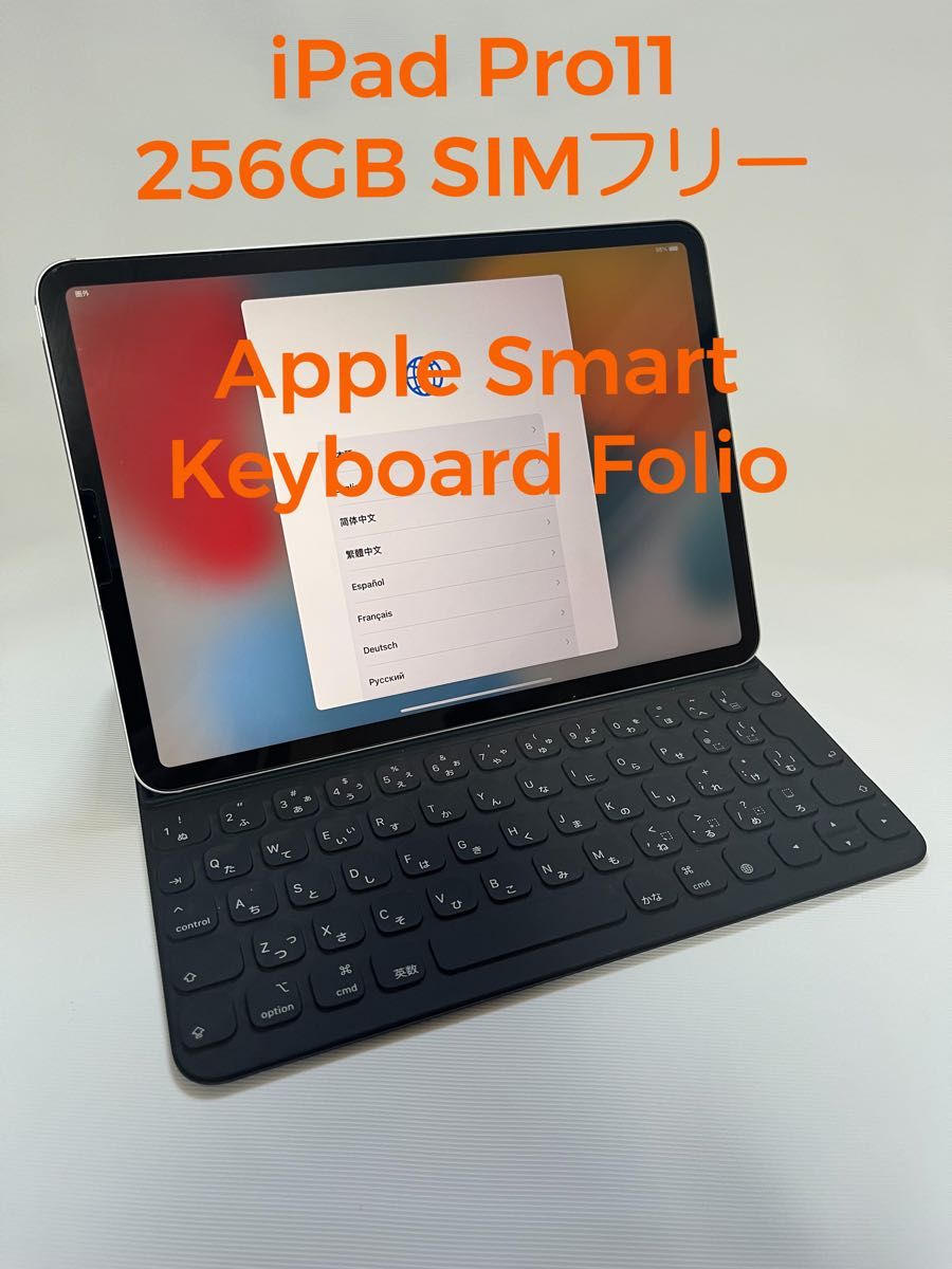 本店は 256GB Wi-Fi+Cellularモデル Pro Apple iPad iPad (第1世代)11