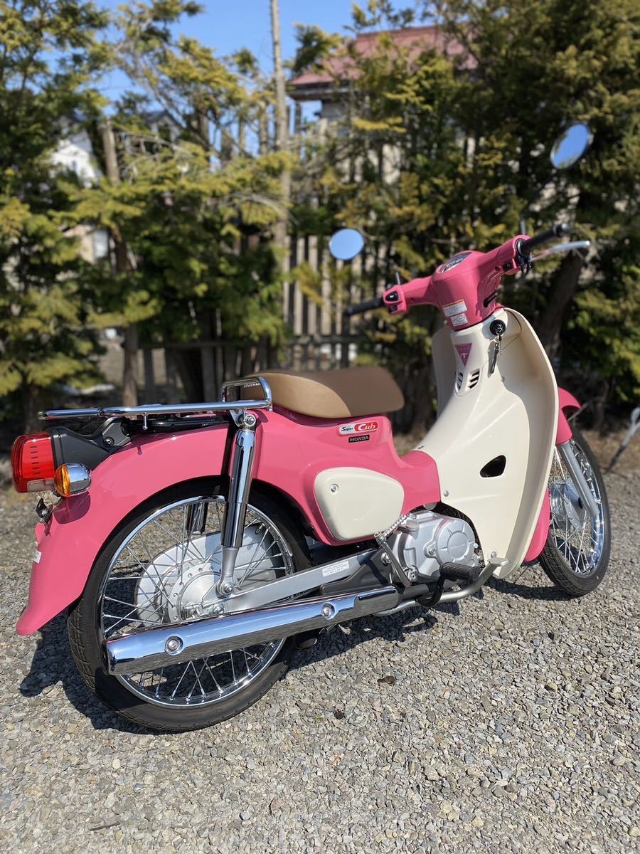 偉大な HONDA ホンダ ホンダ リトルカブ ☆販売証明書有☆ - htii.edu.kz
