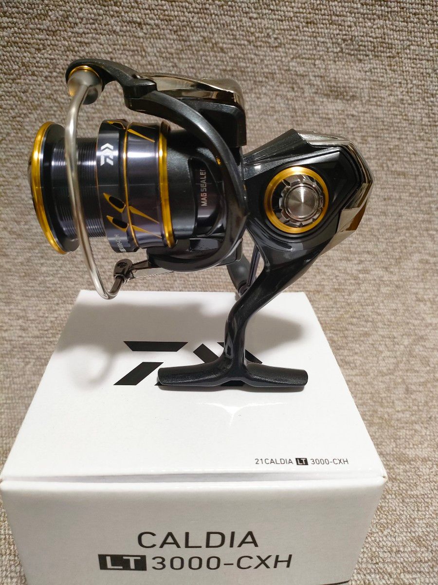 Daiwa ダイワ 21CALDIAカルディア LT3000-CXH 未使用品-