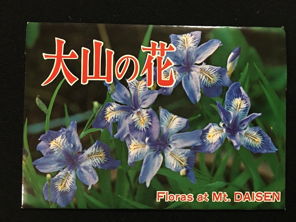 ｗ◇　絵葉書　大山の花　12枚入　未使用　ポストカード　絵はがき　観光　/t-G00②_画像2