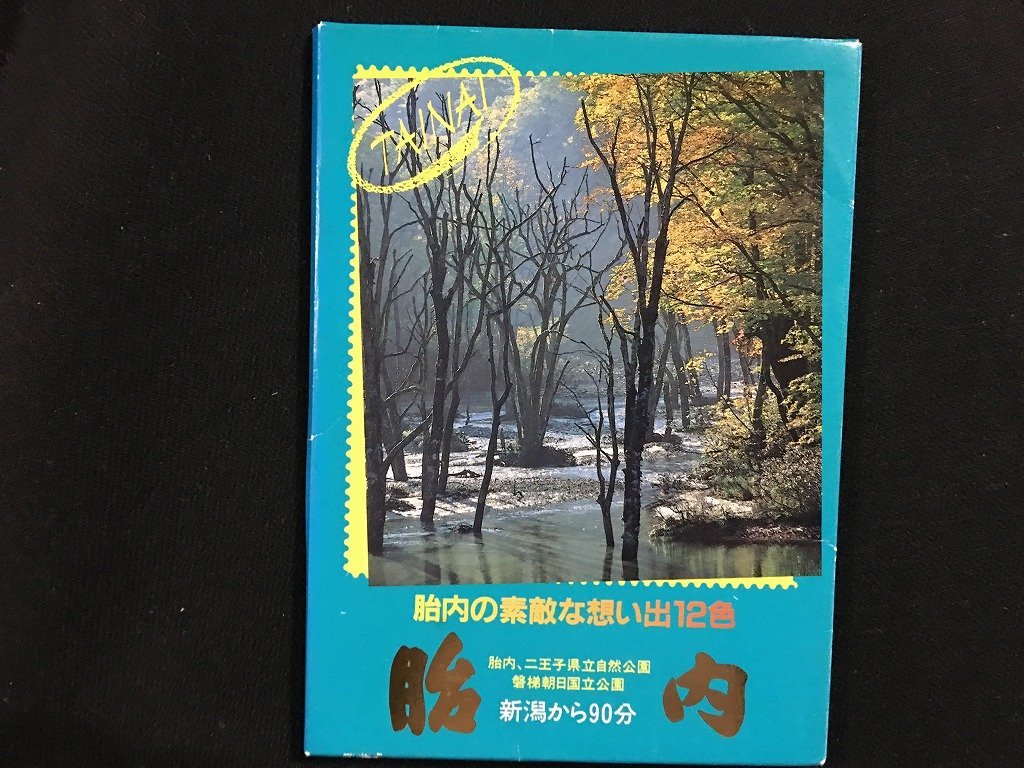 ｗ◇　絵葉書　胎内　胎内の素敵な想い出12色　12枚入　未使用　ポストカード　絵はがき　観光　/t-G00②_画像2