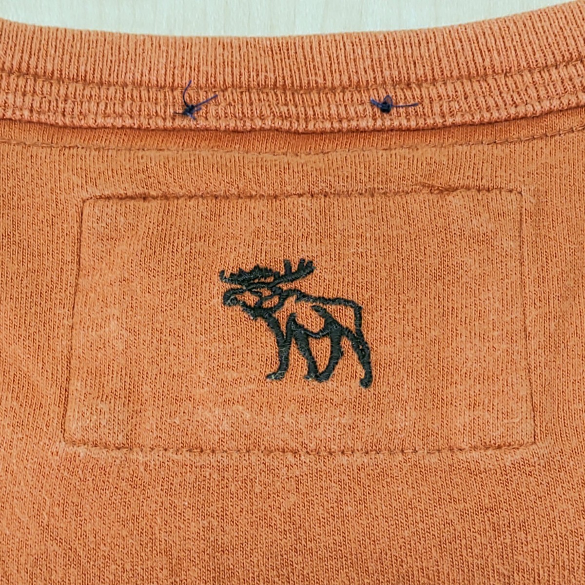 2304024 Abercrombie & Fitchアバクロンビー&フィッチ アップリケ風ビッグロゴ刺繍 トナカイ刺繍 ラウンドネック半袖Tシャツ XL 橙色系_画像4