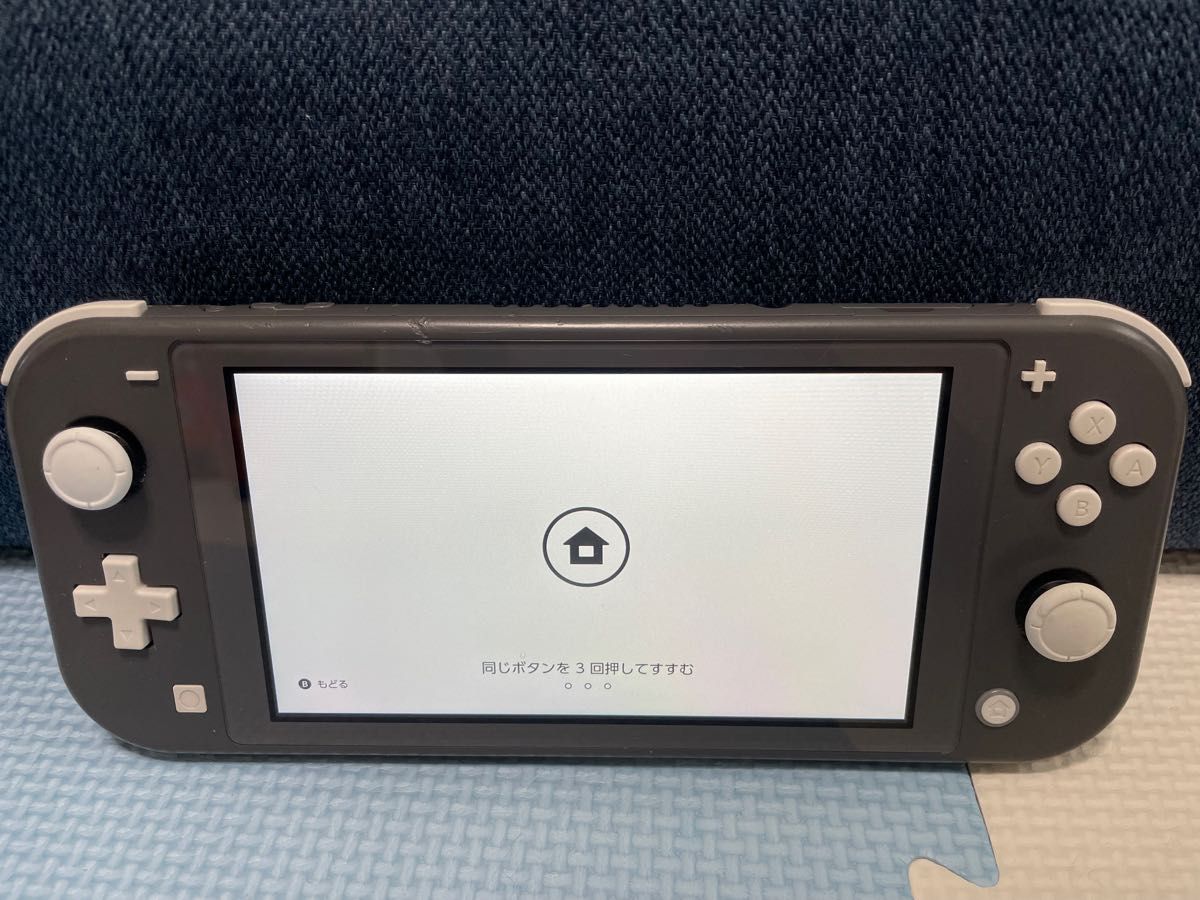 Nintendo Switch lite 保護カバー収納バッグ 本体 耐衝撃 フィルム付き防塵 ニンテンドースイッチライト本体
