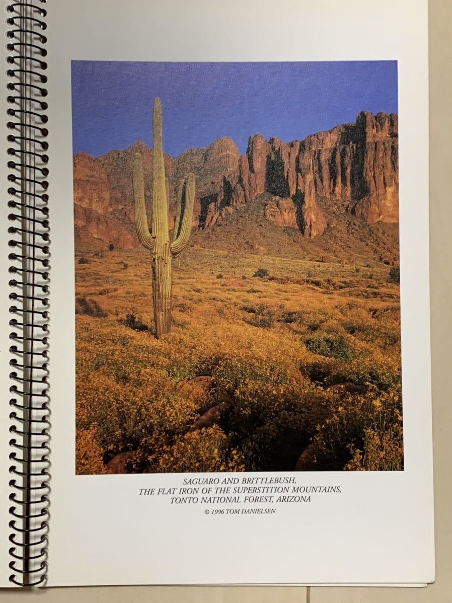 写真集　カレンダー　アリゾナ　モニュメントバレー　インディアン　ネイティブアメリカン　フォトブック　グランドキャニオン　日記_画像7