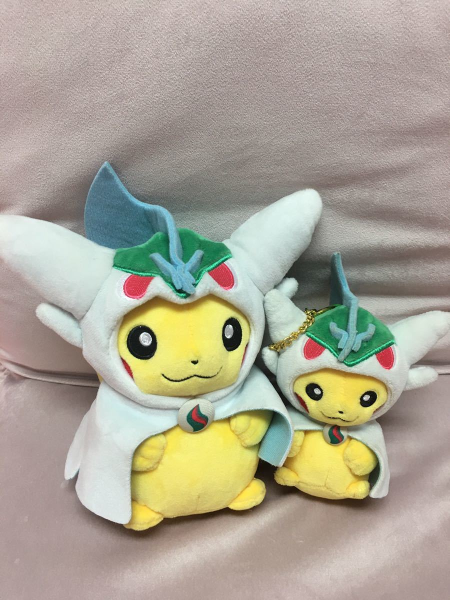 Yahoo!オークション - ポケモン メガエルレイドのポンチョを着た