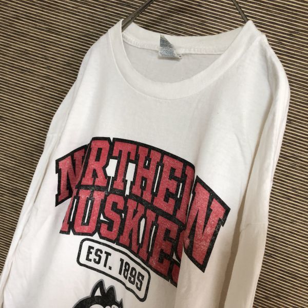 デルタ　ロンT　長袖Tシャツ　ノーザンハスキー　カレジッロゴ　犬32 古着　入手困難　激レア 白　ホワイト　デカロゴ　ビッグロゴ_画像9