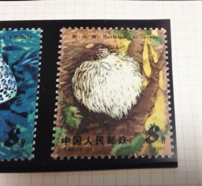 切手 未使用 中国 食用キノコ 6種_画像3