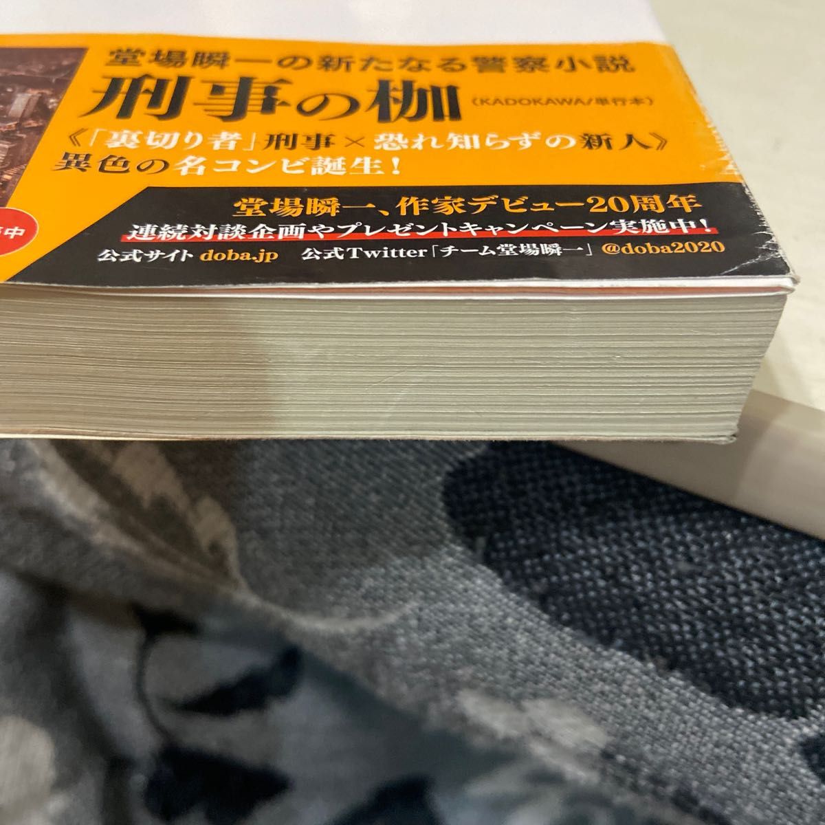 砂の家 （角川文庫　と１８－８） 堂場瞬一／〔著〕