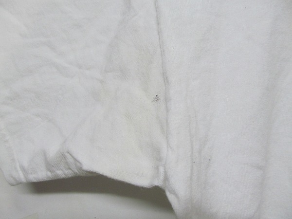 PUNKSPRING 2006 Tシャツ ELLEGARDEN Zebrahead 白 L b16508_画像8