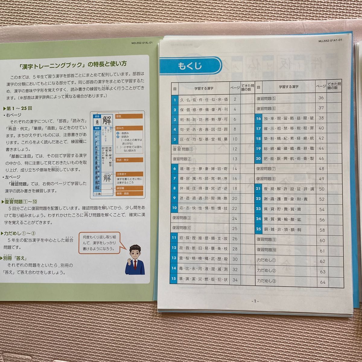 未記入美品 Ｚ会 小学校5年生　漢字トレーニングブック　答えを含む