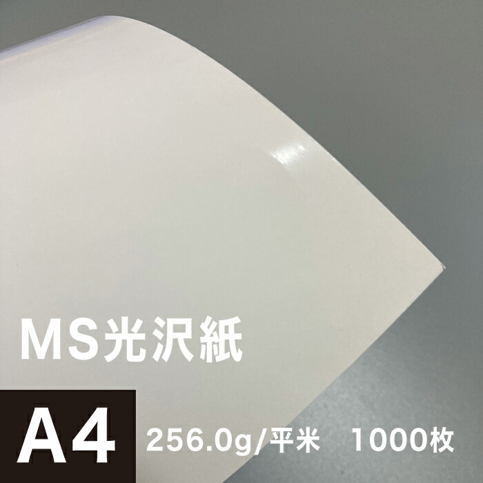 SALE】 MS光沢紙 256.0g 平米 A4サイズ