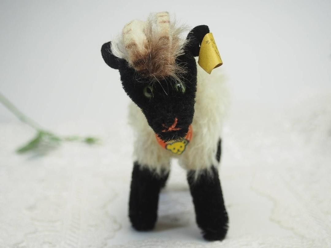 シュタイフ Mountain Sheep Snucki オールID's完品 マウンテン シュタイフ Mountain Sheep Snucki オールID's完品 マウンテン