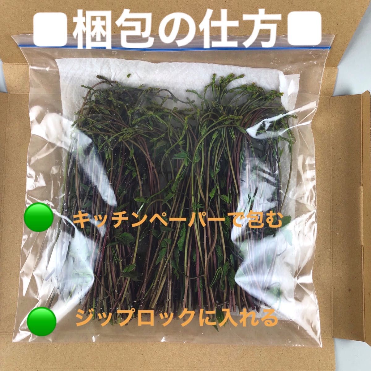 木の芽【新潟県十日町市産】【高級山菜】あけびの芽140g(70g2)