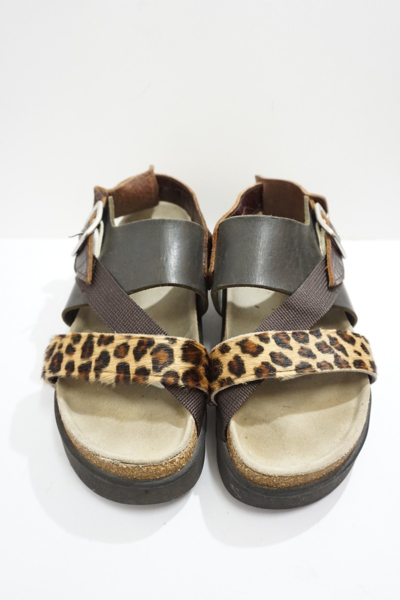 エンダースキーマ tortoise マルチ towinglouisvilleky.com