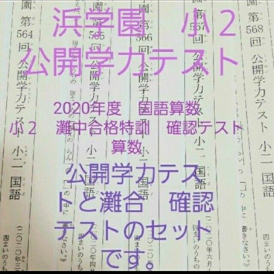 浜学園　小２　公開学力テスト　国語算数　灘中合格特訓　確認テスト　算数　セット　一年分　灘合