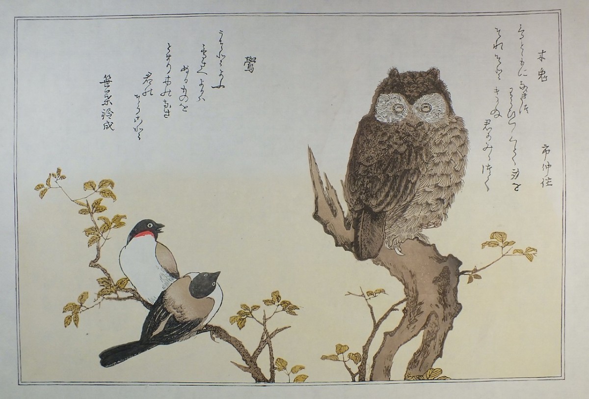 *[ reissue tree version ukiyoe ]. many river ..[ 100 thousand bird madness .. tree .*.]