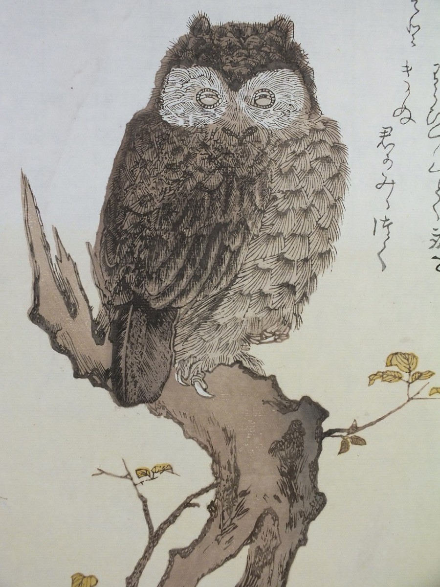 *【復刻木版浮世絵】喜多川歌麿『百千鳥狂歌合　木莵・鷽』_画像3