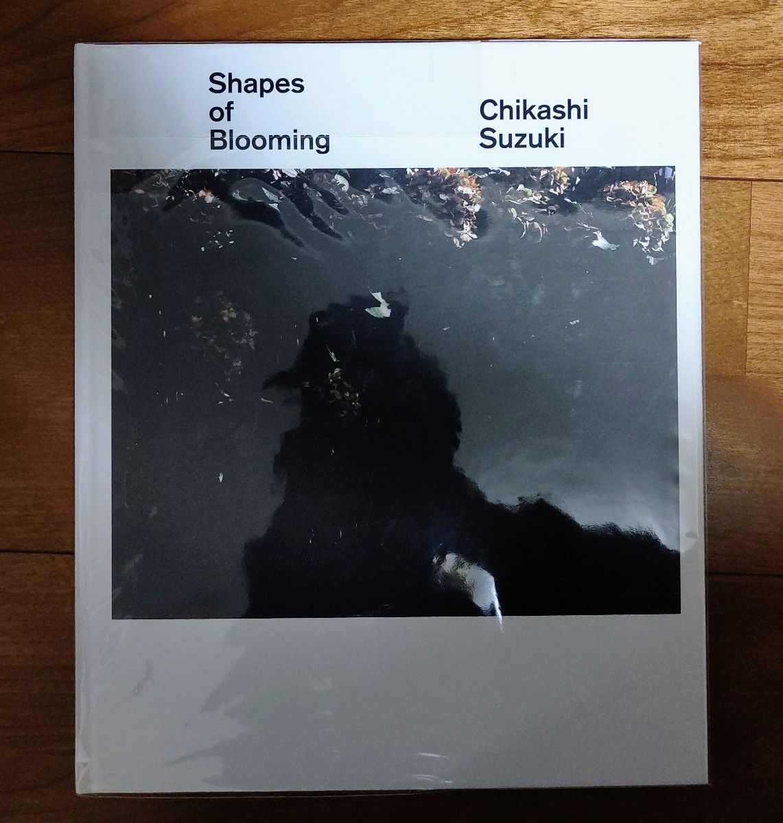 好評 Shapes of Blooming Chikashi Suzuki 鈴木親 アート/エンタメ