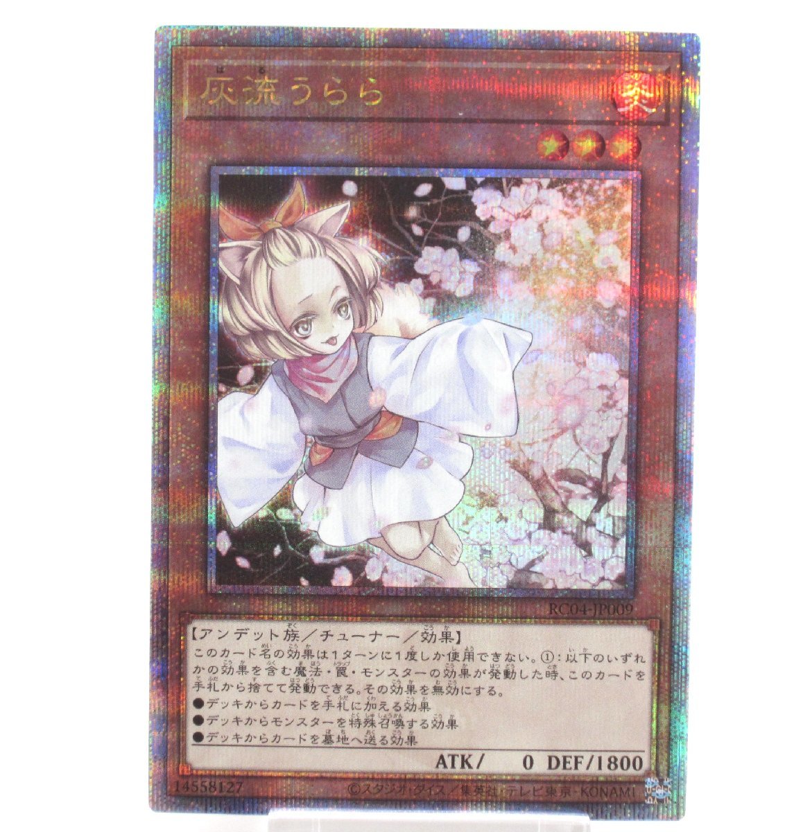 人気ブランドの新作 激レア☆タッキー(滝沢秀明さん 人気ブランドの新作 激レア☆タッキー(滝沢秀明さん