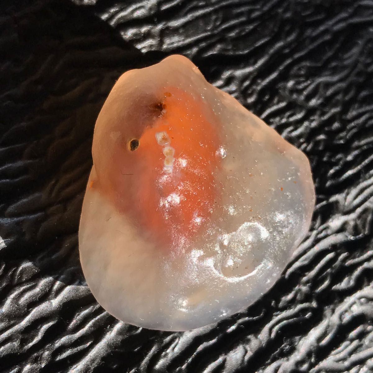 ゴビ石−1087 ゴビ瑪瑙　原石 オレンジ色