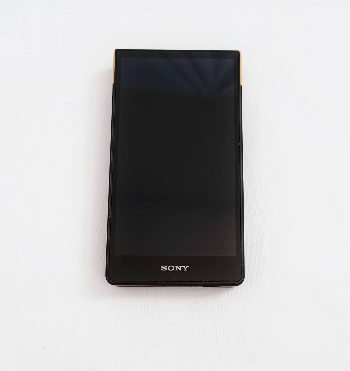 非常に高い品質 SONY WALKMAN NW-ZX707 本体 - www.barja.gov.lb