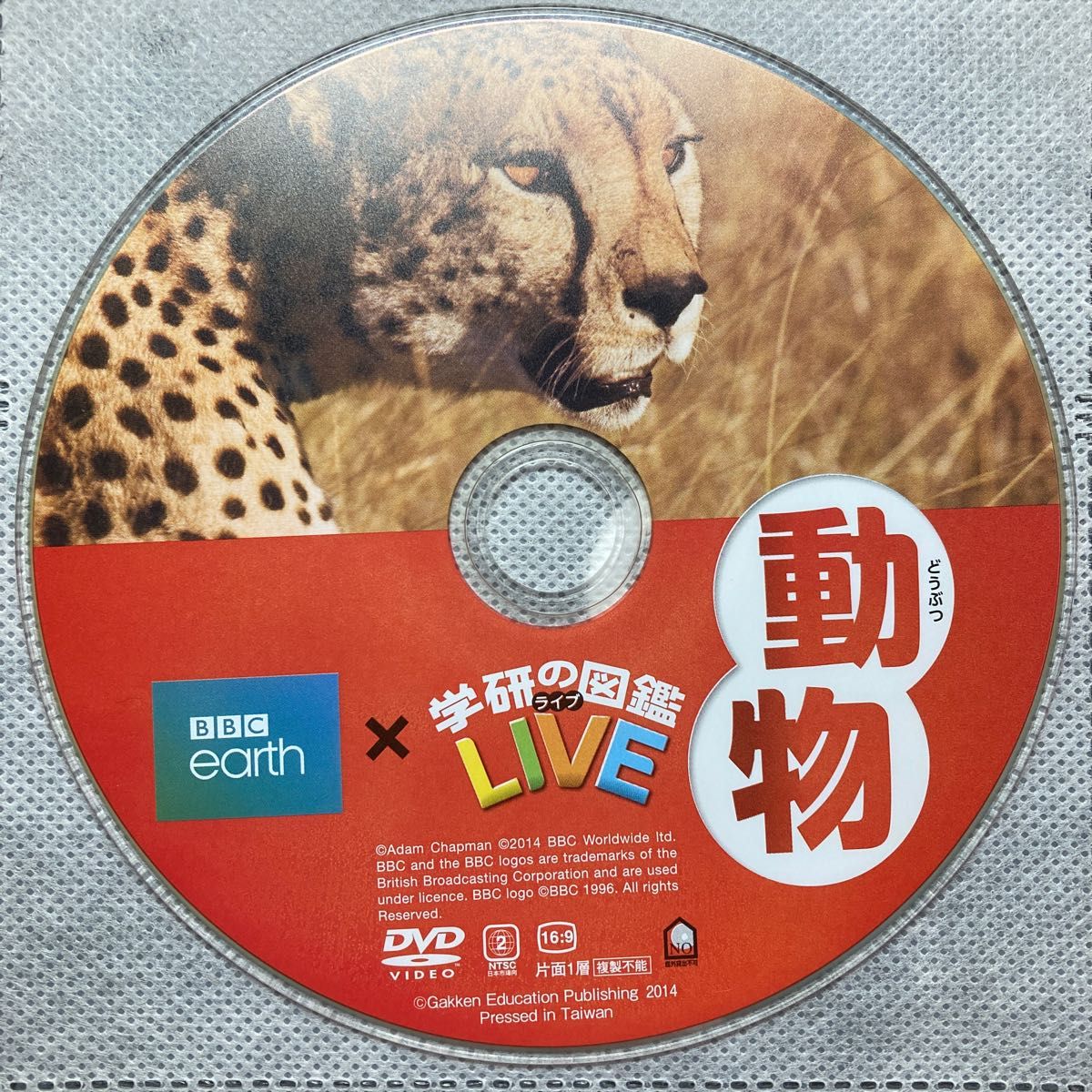 学研の図鑑LIVE『動物』DVD 図鑑ライブDVDのみ