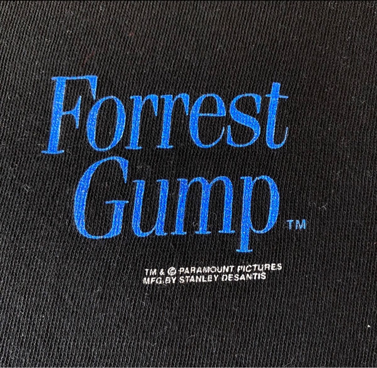 【レア】フォレスト・ガンプ/一期一会Forest Gump トムハンクス ムービーTシャツ XL