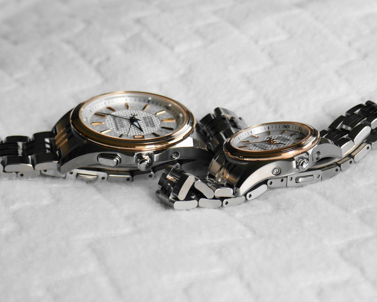 CITIZEN シチズン EXCEED エクシード 極レア 61万円 30周年記念 CITIZEN シチズン EXCEED エクシード 極レア 61万円 30周年記念