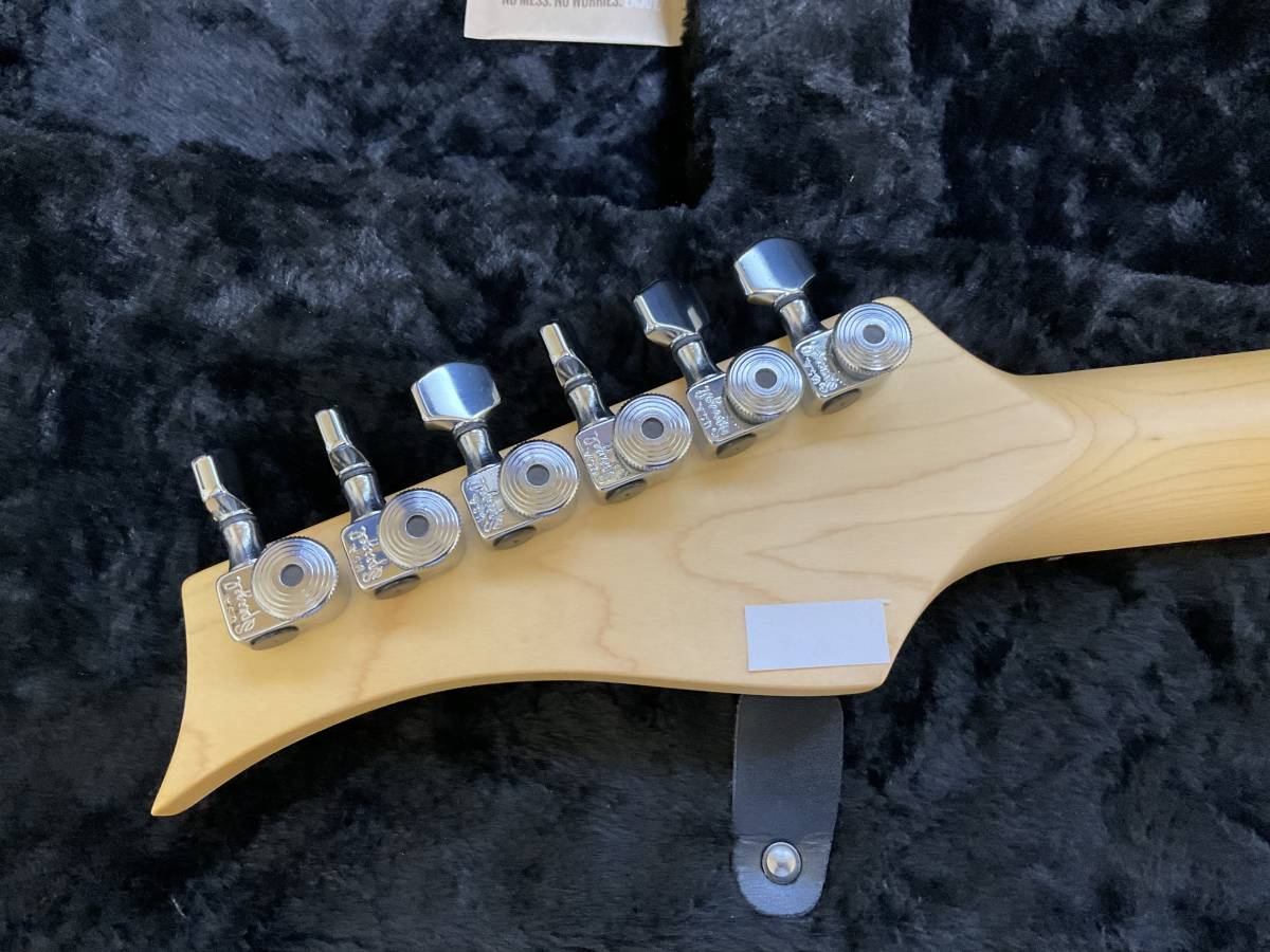 Three Dots Guitars S LS SPC ABU R MH ASH BLUE Rose Matching Head