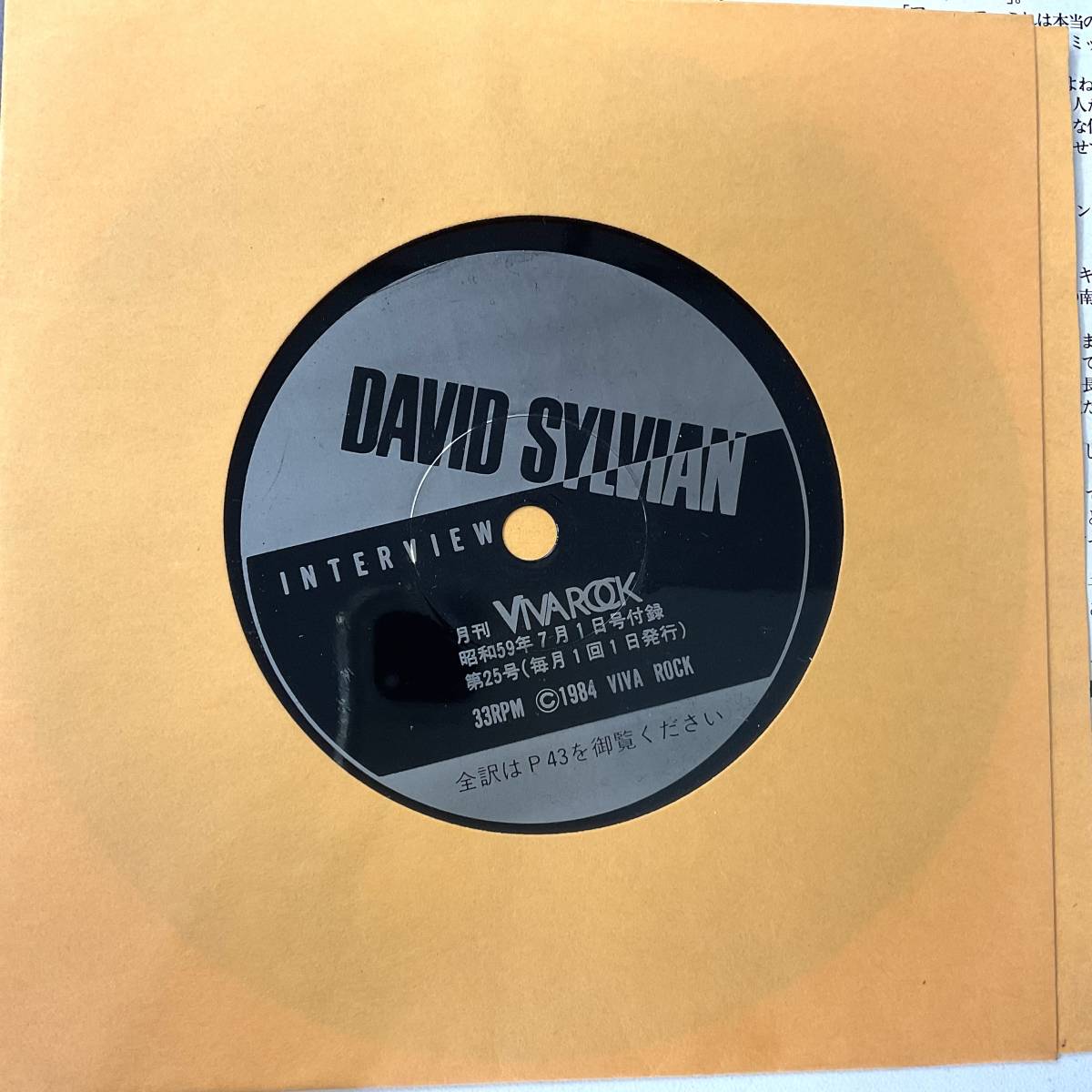 DAVID SYLVIAN デヴィッド シルヴィアン インタビュー レコード ＋ 全訳 ＋ EMBER GLANCE 寺田倉庫 インスタレーション 開催告知チラシ_画像2