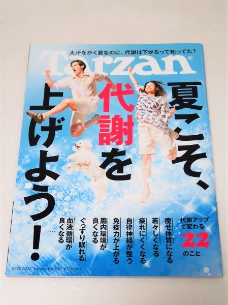 ◆◆新品◆◆Tarzan（ターザン）◆夏こそ、代赭を上げよう！◆奥山かずさ◆◆_画像1