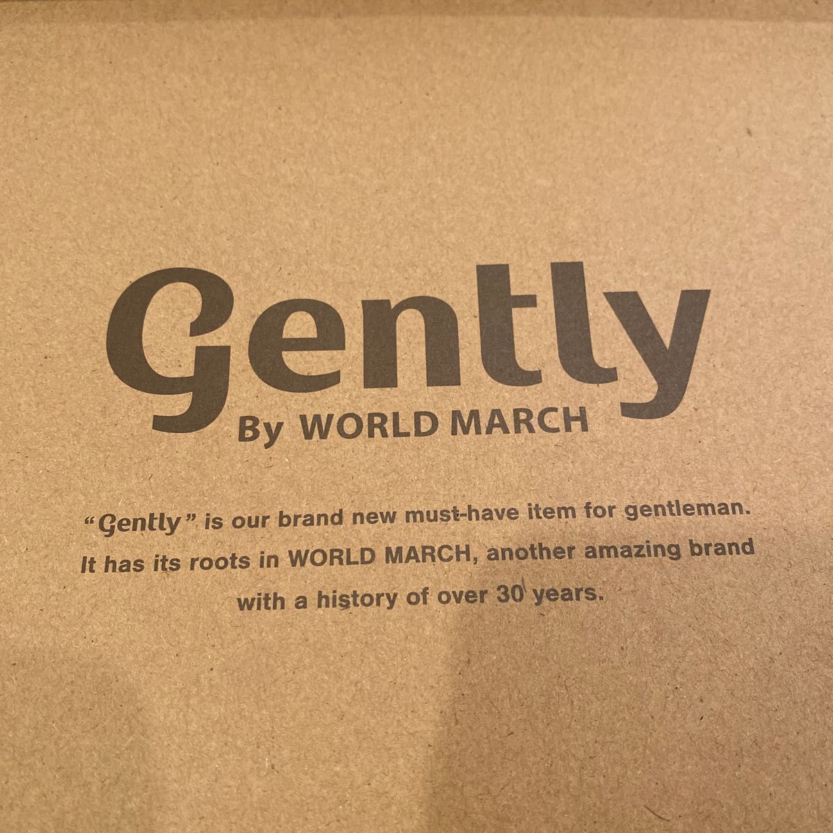 ムーンスター  gently By WORLD MARCH スリッポン　ローファー　ブラック　28センチ　一回のみ使用