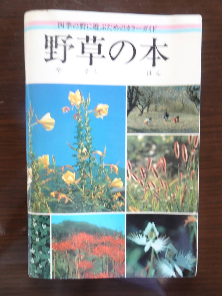 「野草の本」　四季の野に遊ぶためのカラーガイド　1987年10月第1版発行　財団法人サンワみどり基金発行　全144ページ_画像1